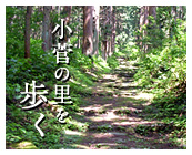 小菅の里を歩く