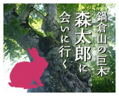 なべくら山の森太郎に会いに行く