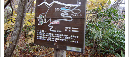 案内板