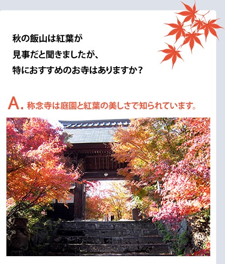 秋の飯山は紅葉が見事だと聞きましたが、特におすすめのお寺はありますか？　A.称念寺は庭園と紅葉の美しさで知られています。