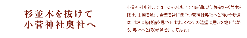 杉並木を抜けて小菅神社奥社へ　小菅神社奥社までは、ゆっくり歩いて１時間ほど。静寂の杉並木を抜け、山道を通り、岩壁を背に建つ小菅神社奥社へと向かう参道は、まさに修験道を思わせます。かつての隆盛に思いを馳せながら、奥社へと続く参道を辿ってみます。