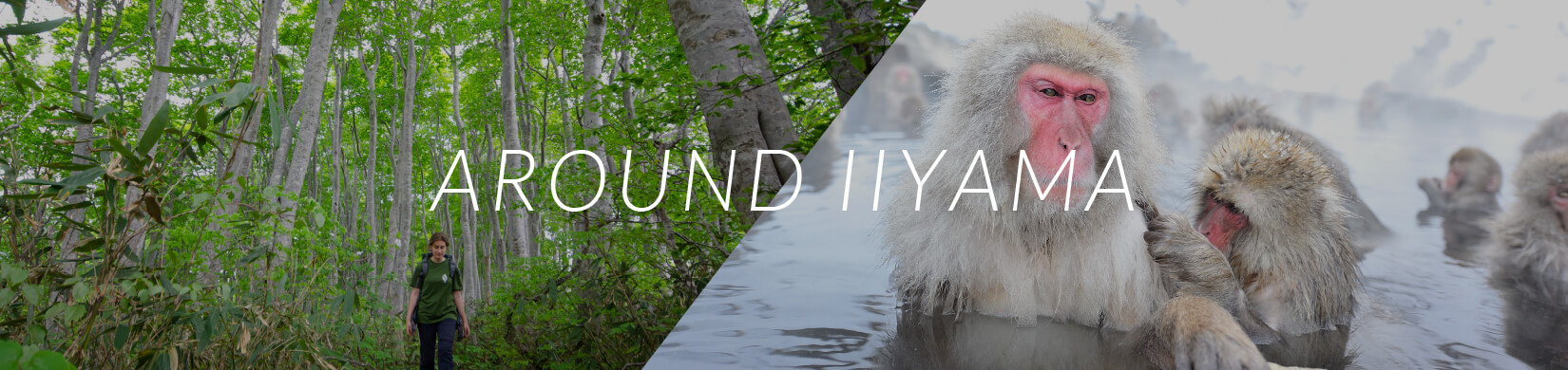 AROUND IIYAMA