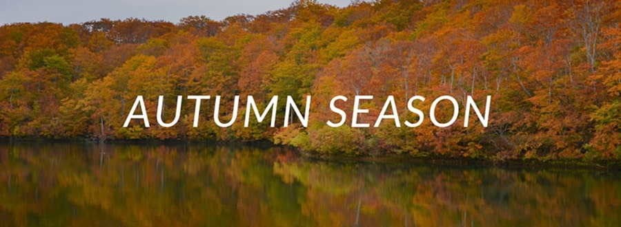 AUTUMN SEASON