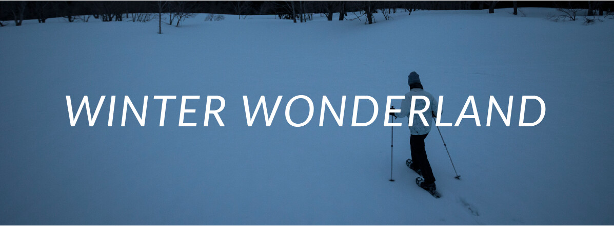 WINTER WONDERLAND