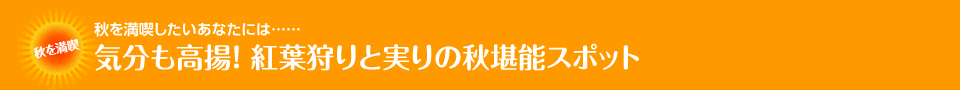 秋を満喫したいあなたには……気分も高揚！ 紅葉狩りと実りの秋堪能スポット